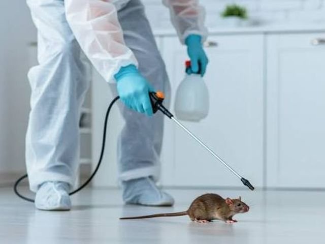 Rodent Control