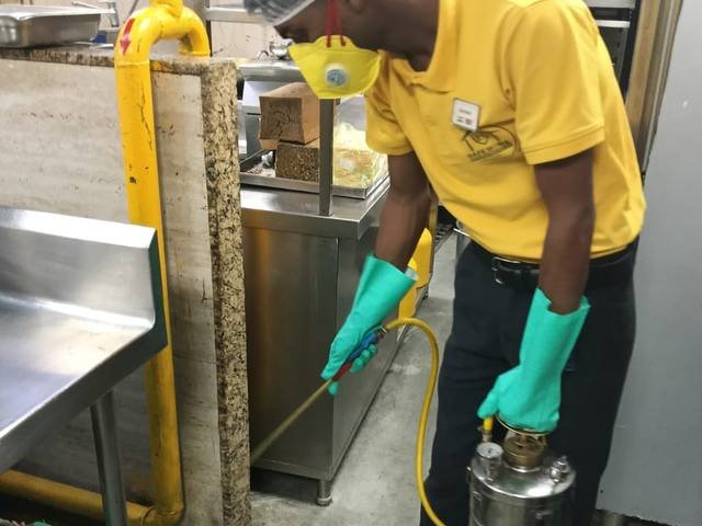 Pest treatment in a food storage and produce area
