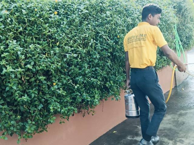 Mosquito treatment along outdoor hedges and boundary planting